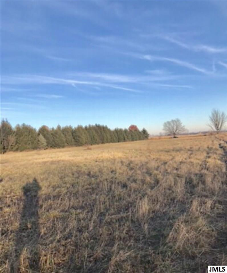 8688 Case Road Brooklyn, MI 49230 - Photo 9 of 10 Photo 9