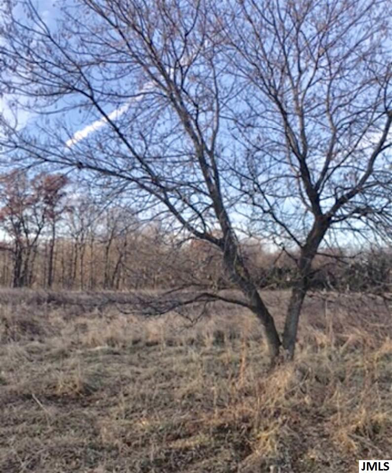 8688 Case Road Brooklyn, MI 49230 - Photo 10 of 10 Photo 10