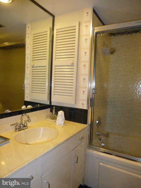 246 11th Street Southeast Washington, DC 20003 - Photo 21 of 30 Bath (Master)