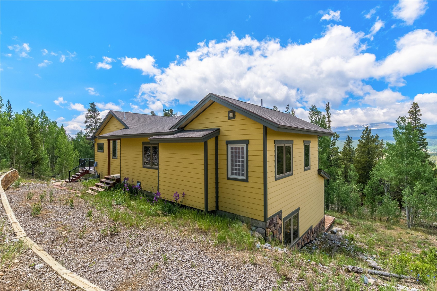 592 Ponderosa Road Fairplay, CO 80440 - Photo 45 of 45 a view of a house with backyard