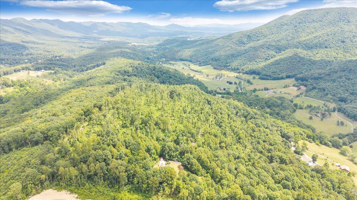 11010 Catawba Road Troutville, VA 24175 - Photo 64 of 68 64-DJI_20260615123756_0016_D