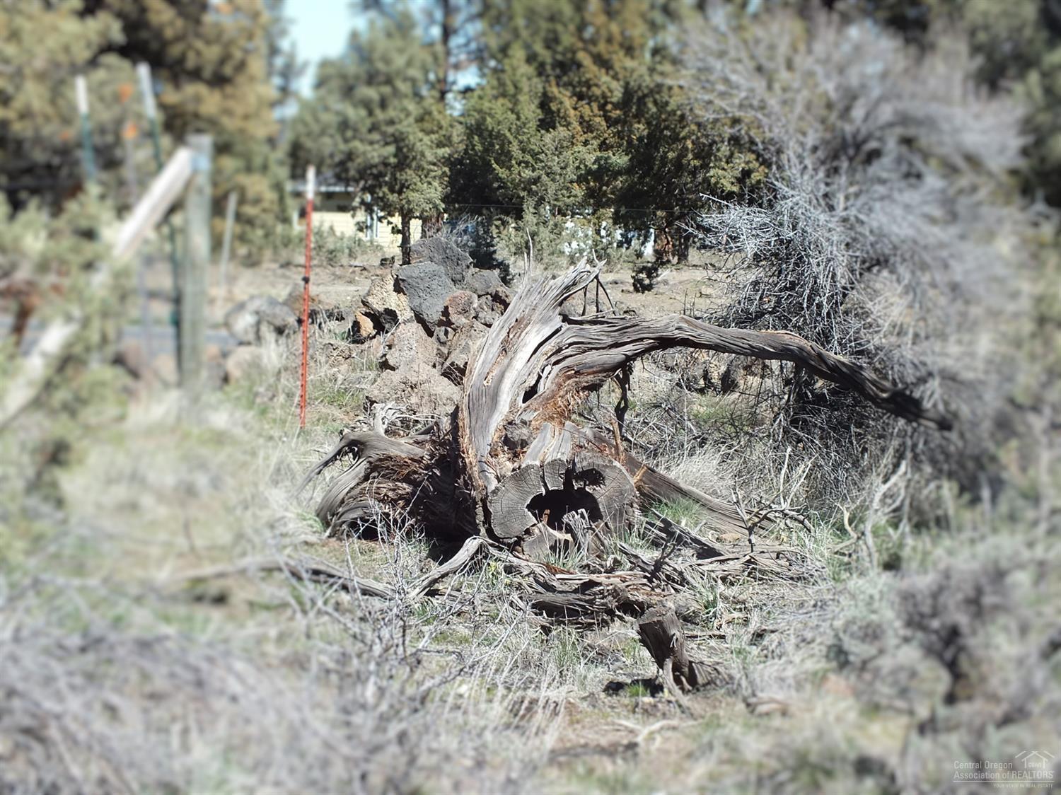 0 Southwest Sage Hen Road Terrebonne, OR 97760 - Photo 4 of 24 Additional Photo