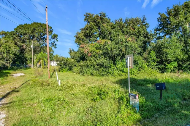 a view of yard with green space