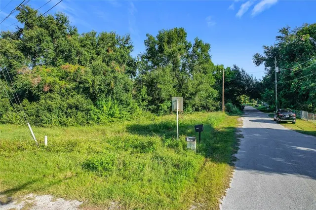 a view of a garden with a tree