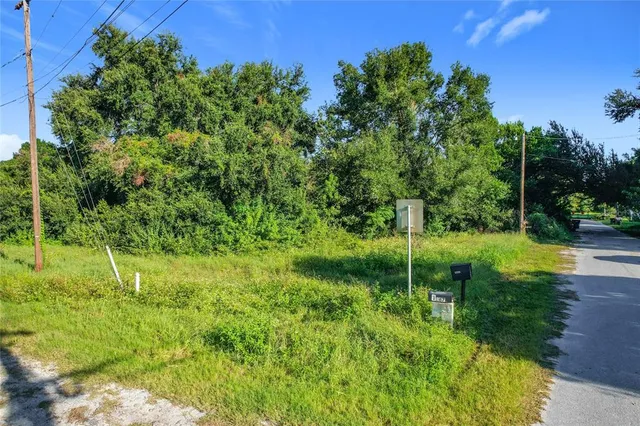 a view of a garden with a tree