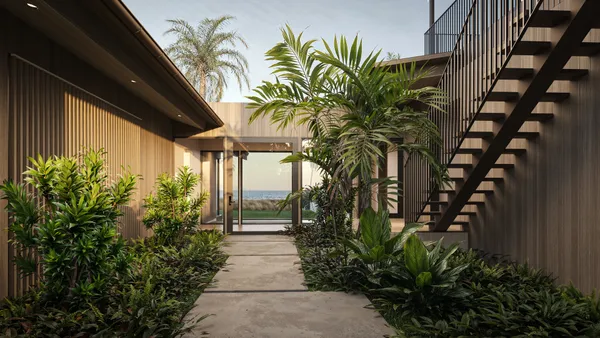 a view of a potted plants with sky view