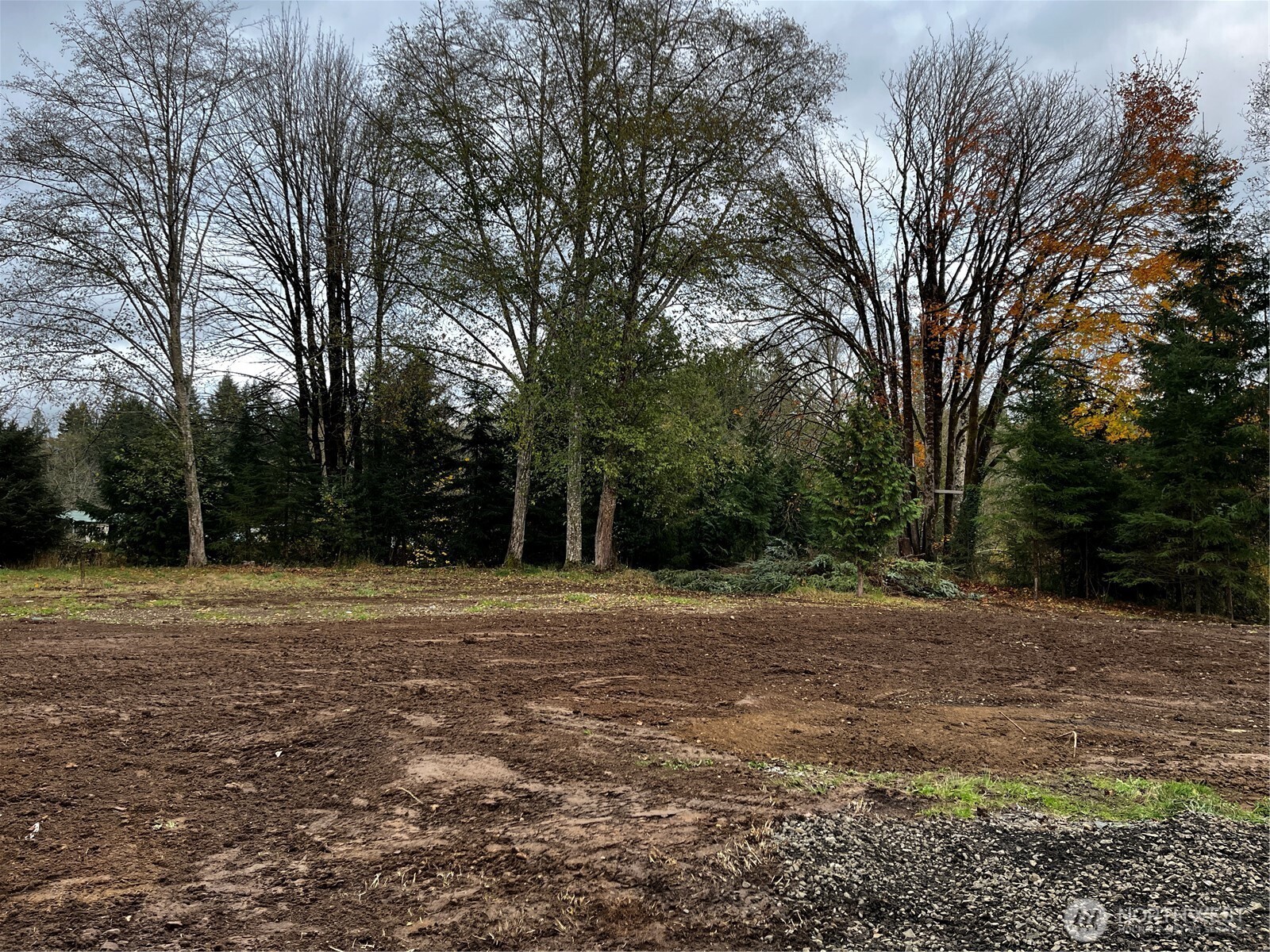 30 Porter Creek Road Elma, WA 98541 - Photo 4 of 12 a backyard of a house with lots of green space