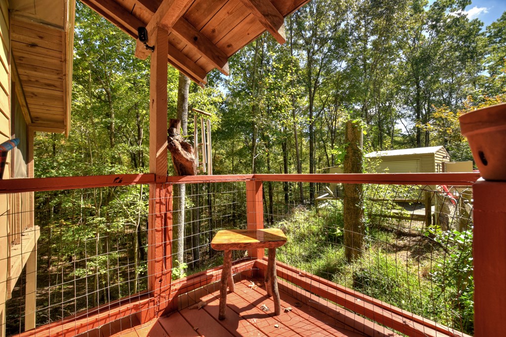 50 Skeenah Trail Blue Ridge, GA 30513 - Photo 3 of 26 Gallery Image 3