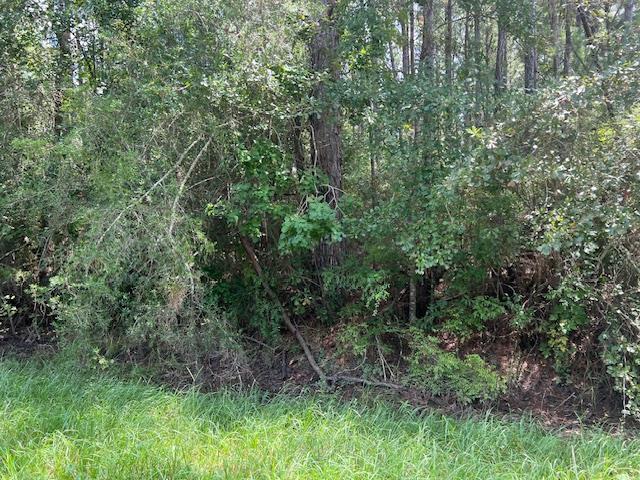 Lot 3 Bill Nelson Road Wewahitchka, FL 32465 - Photo 1 of 6