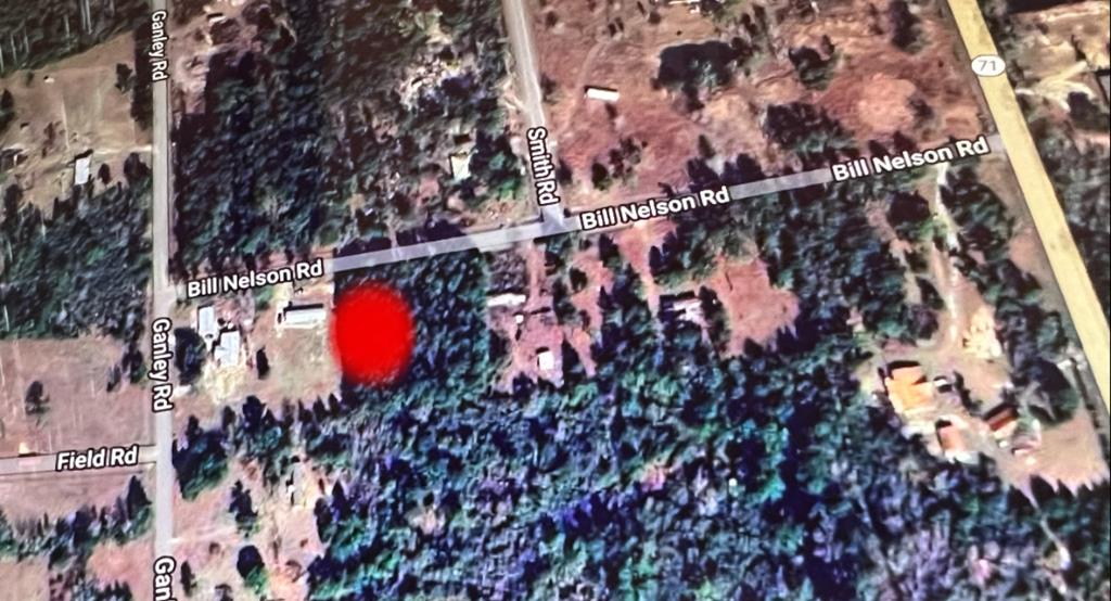 Lot 3 Bill Nelson Road Wewahitchka, FL 32465 - Photo 2 of 6