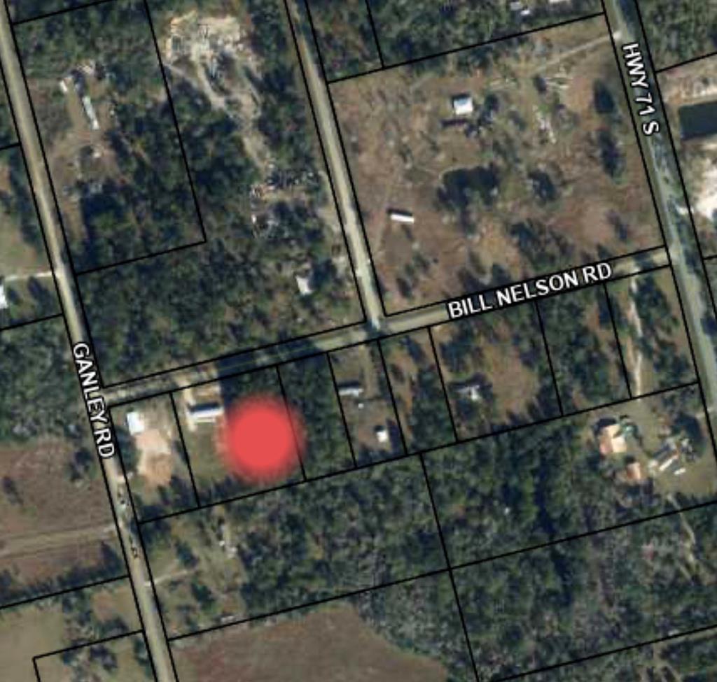 Lot 3 Bill Nelson Road Wewahitchka, FL 32465 - Photo 5 of 6