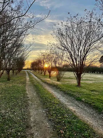 $259,900 | 676 Buck Shoals Road, Gaffney, SC 29341