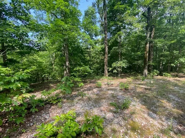 a view of outdoor space and trees