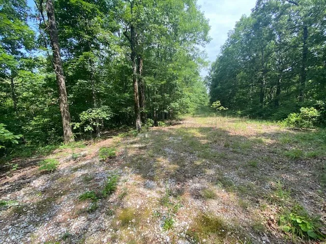 a view of outdoor space and trees