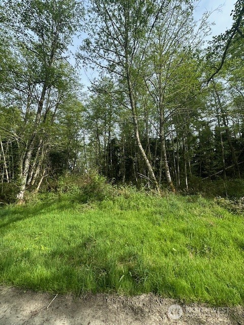 13 Ander Park Road Freeland, WA 98249 - Photo 11 of 19 a backyard of a house with lots of green space