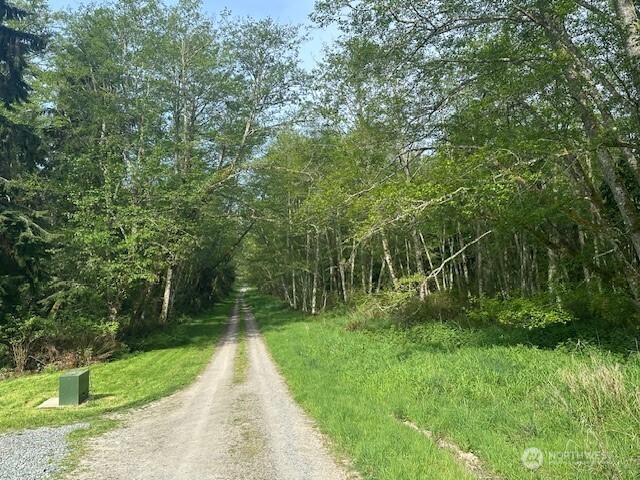 13 Ander Park Road Freeland, WA 98249 - Photo 18 of 19 a view of path with green space