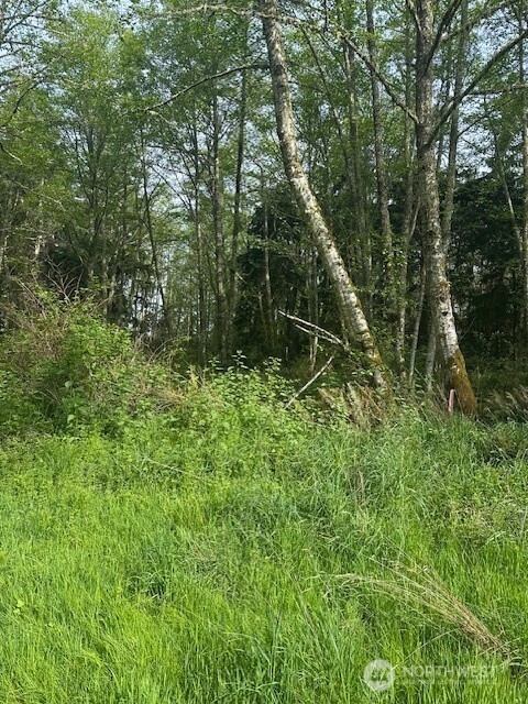13 Ander Park Road Freeland, WA 98249 - Photo 3 of 19 a green field with lots of bushes
