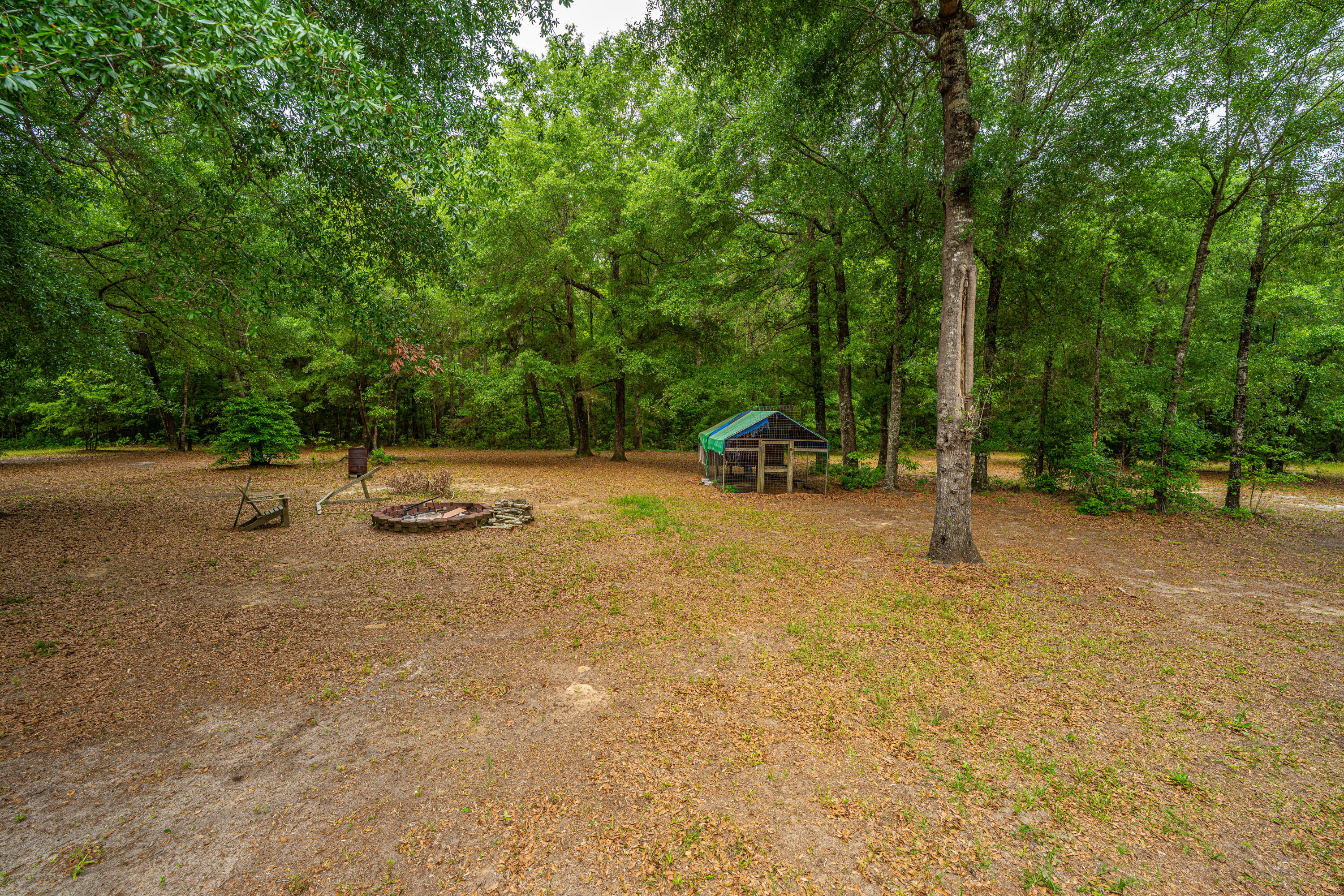 312 Piney Grove Road Cross, SC 29436 - Photo 12 of 24 312PineyGroveRd012