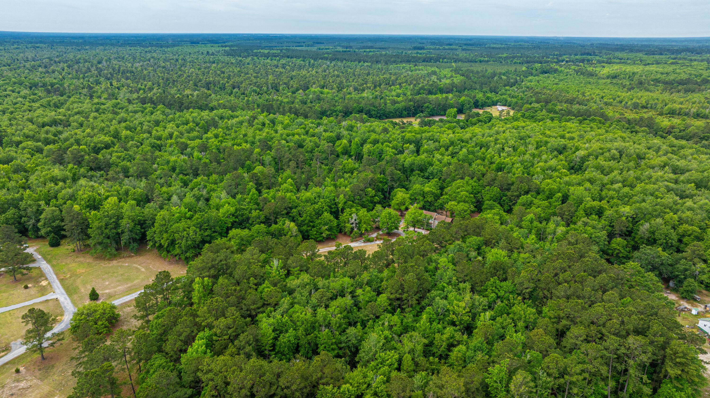 312 Piney Grove Road Cross, SC 29436 - Photo 19 of 24 312PineyGroveRd068