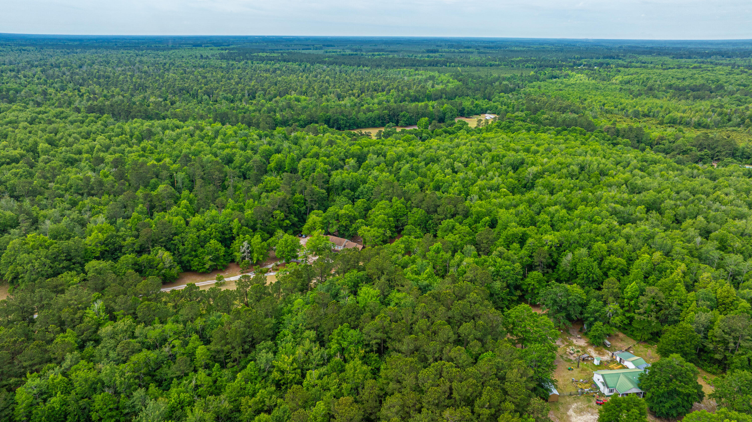 312 Piney Grove Road Cross, SC 29436 - Photo 20 of 24 312PineyGroveRd069