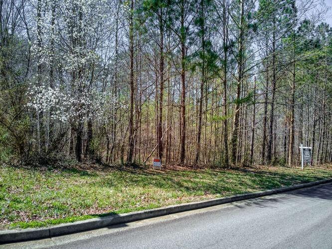 263 Principal Meridian Drive Dallas, GA 30132 - Photo 6 of 15