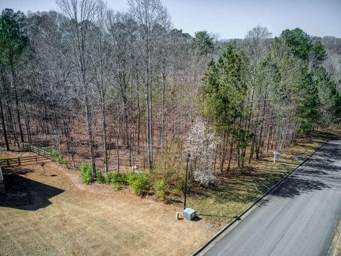 263 Principal Meridian Drive Dallas, GA 30132 - Photo 10 of 15