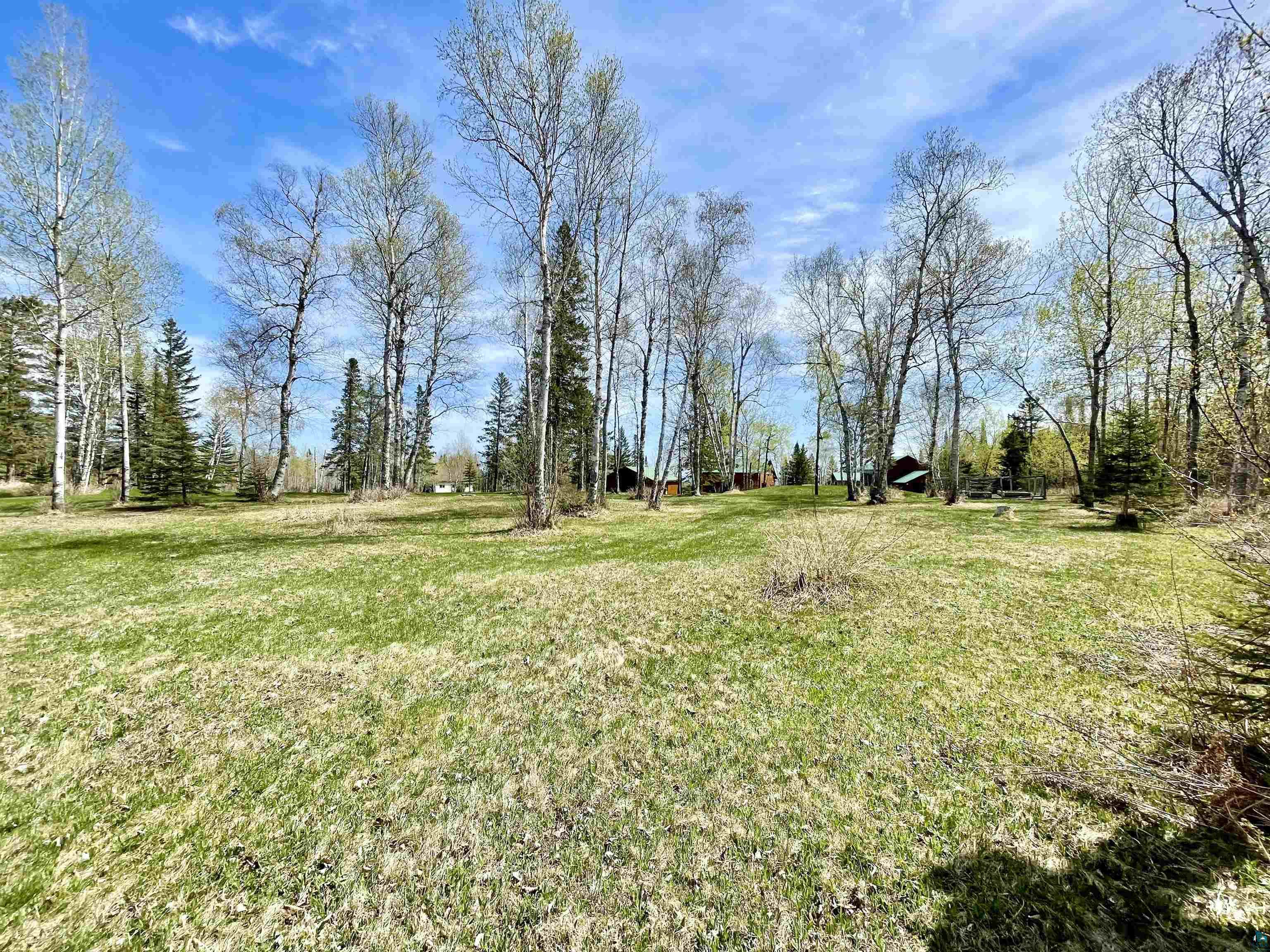 183 Cramer Road Schroeder, MN 55613 - Photo 48 of 50 NW yard area.
