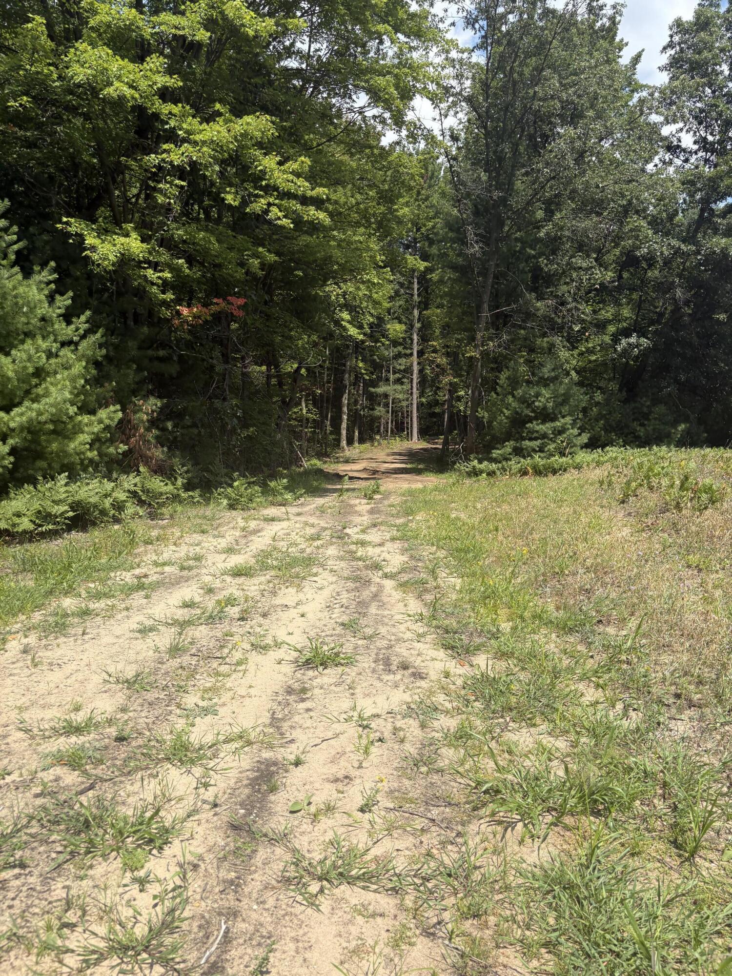 5 5 Mile Road Morley, MI 49336 - Photo 155 of 169 IMG_8416