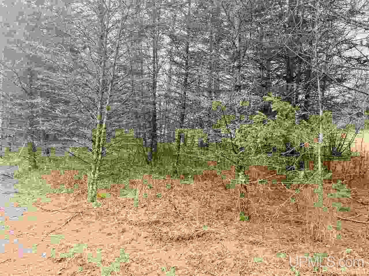 Tbd St Nicholas Road Rock, MI 49880 - Photo 16 of 22