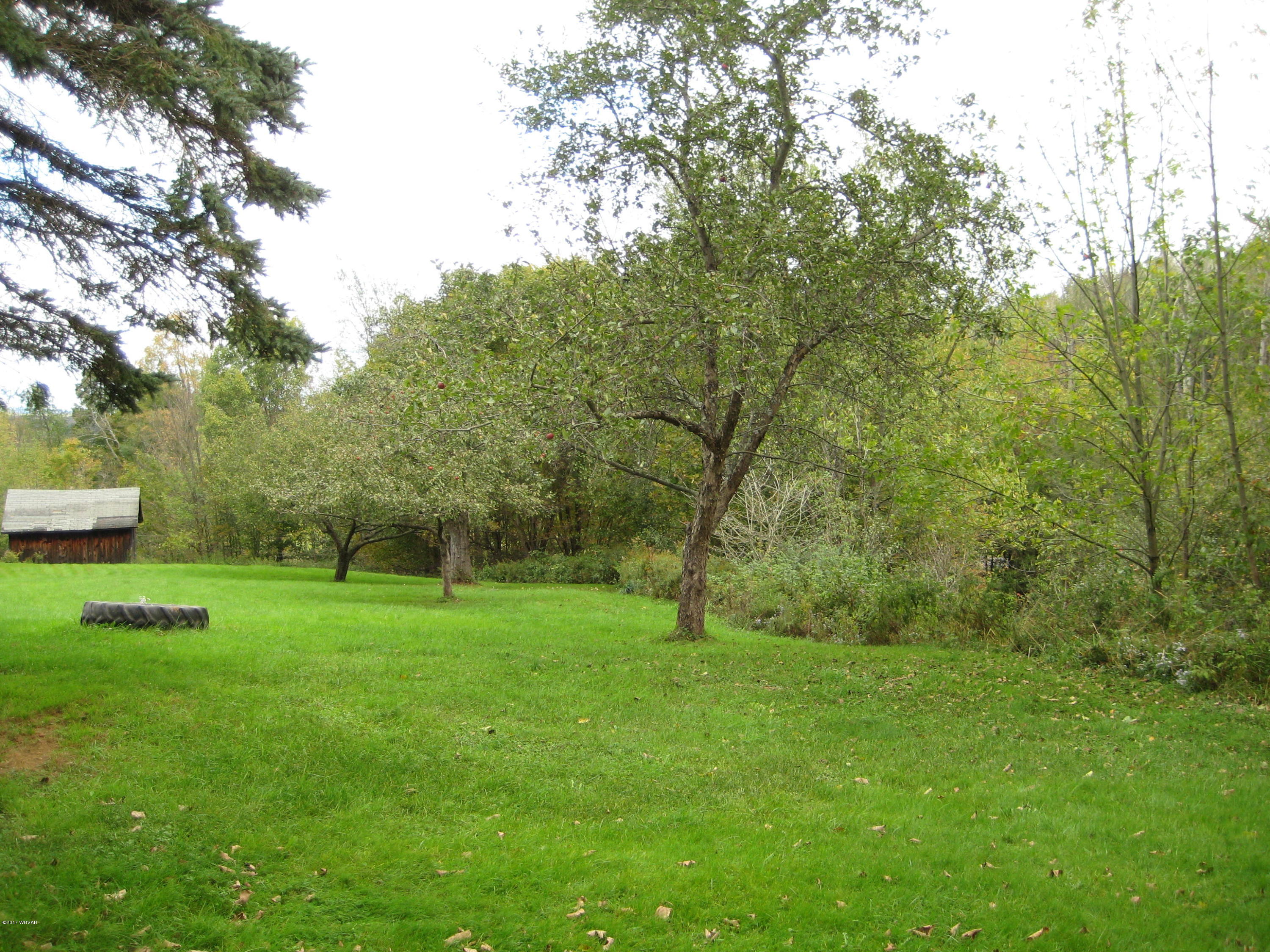 629 Litzelman Road Dushore, PA 18614 - Photo 12 of 43 IMG_1735