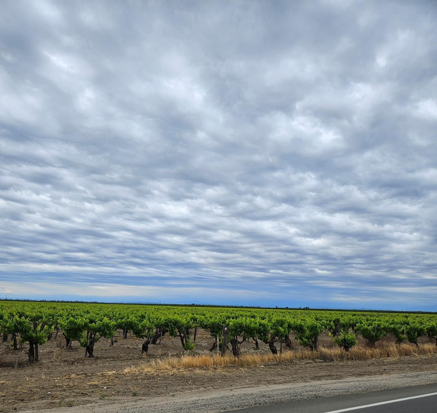 27295 Ave 7 Madera, CA 93637 - Photo 2 of 7 a view of a big yard
