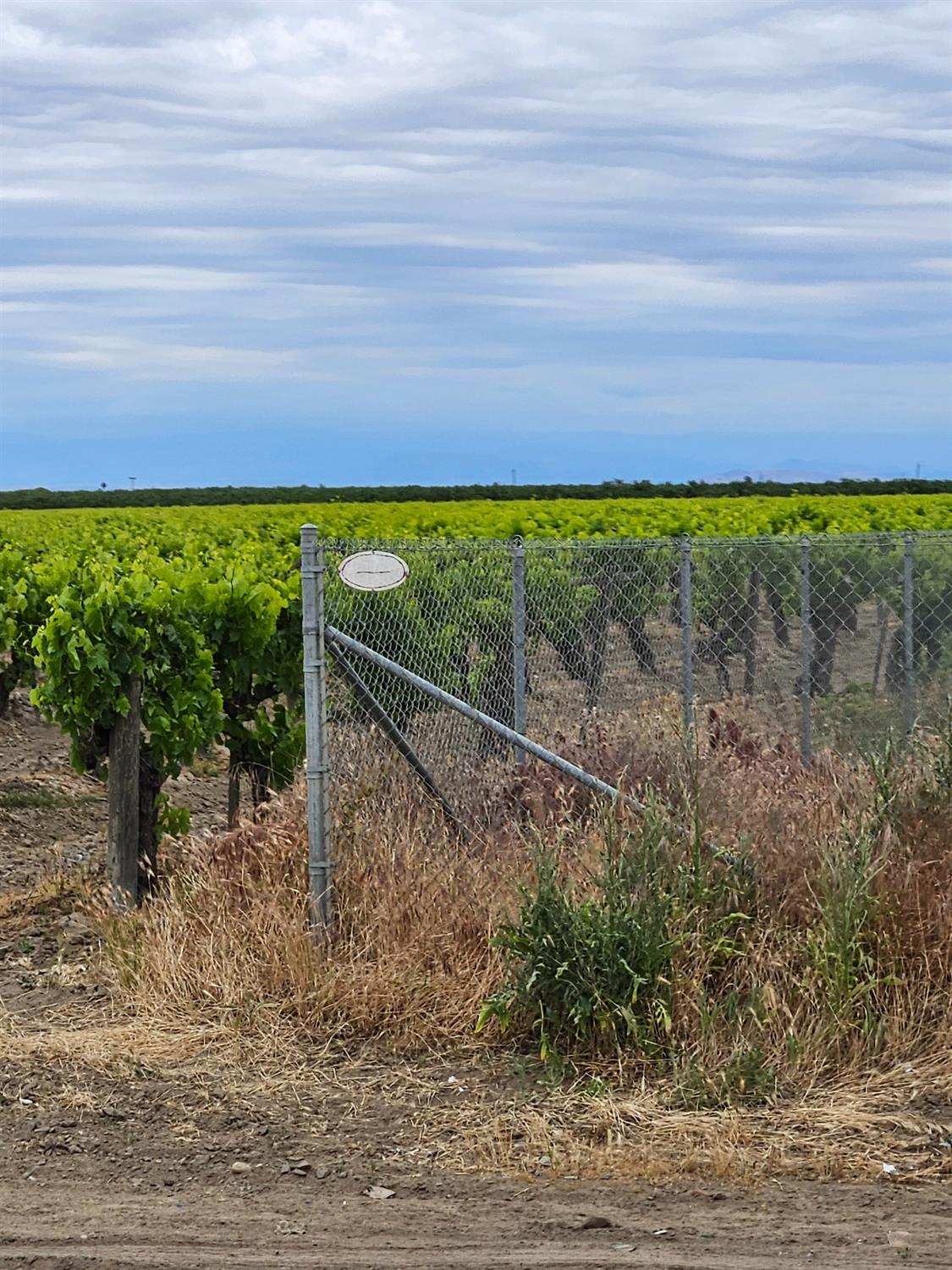 27295 Ave 7 Madera, CA 93637 - Photo 3 of 7 a view of a yard