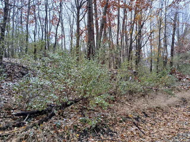 $61,600 | East Beyer Road, Fountain, MI 49410