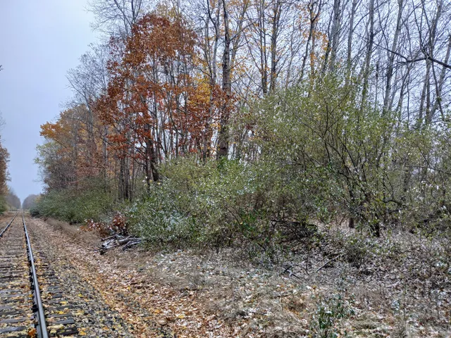 $61,600 | East Beyer Road, Fountain, MI 49410