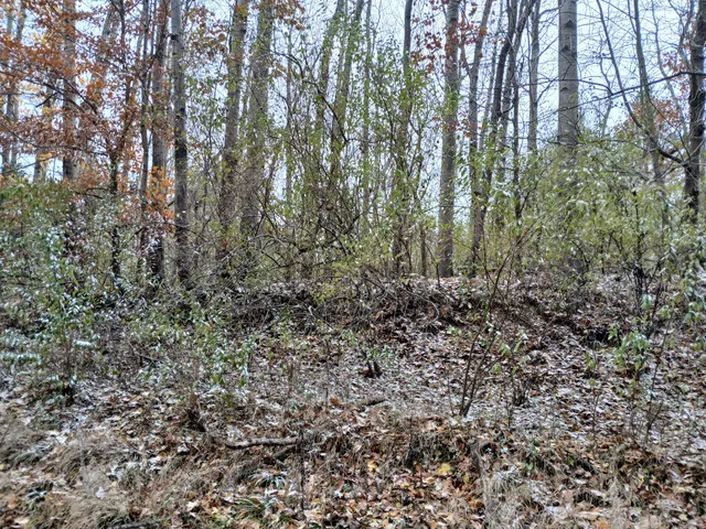 $61,600 | East Beyer Road, Fountain, MI 49410