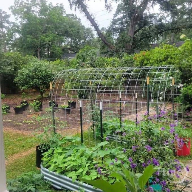 26 Nancy Place Savannah, GA 31406 - Photo 43 of 58