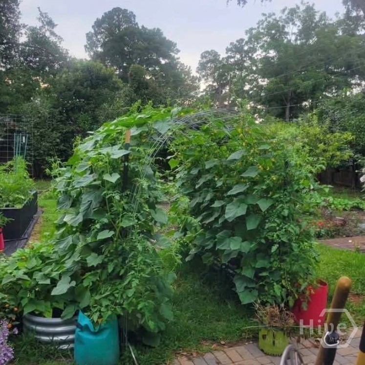 26 Nancy Place Savannah, GA 31406 - Photo 45 of 58