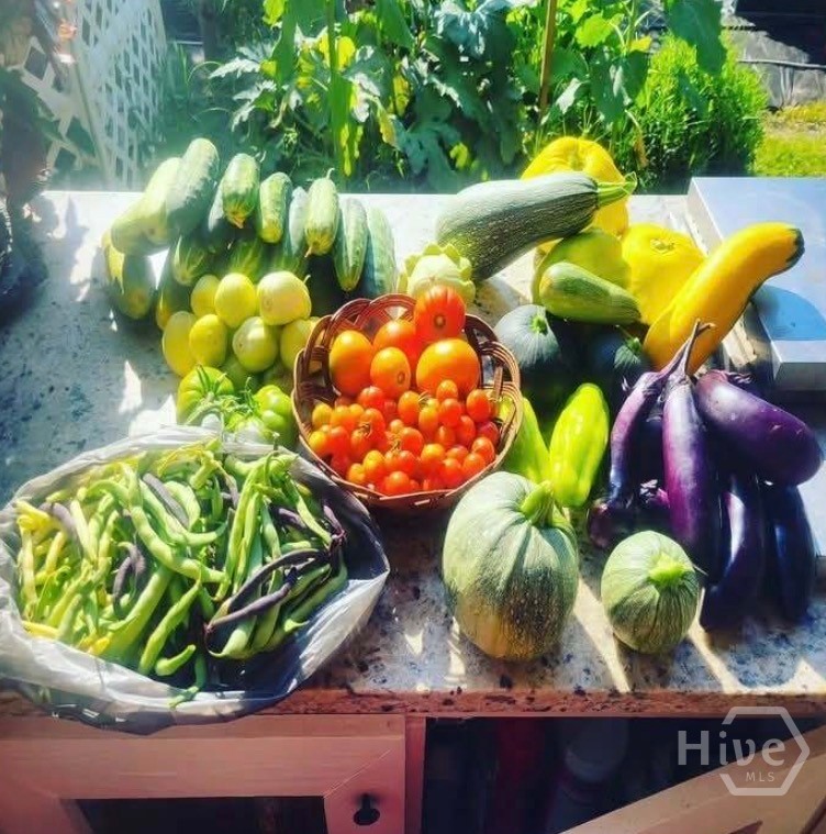 26 Nancy Place Savannah, GA 31406 - Photo 46 of 58