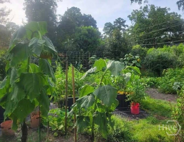 26 Nancy Place Savannah, GA 31406 - Photo 49 of 58