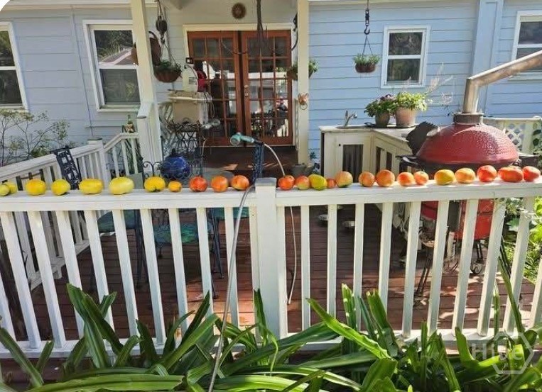 26 Nancy Place Savannah, GA 31406 - Photo 50 of 58