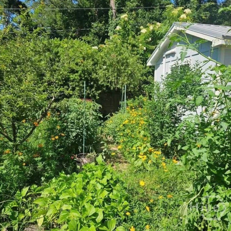 26 Nancy Place Savannah, GA 31406 - Photo 51 of 58