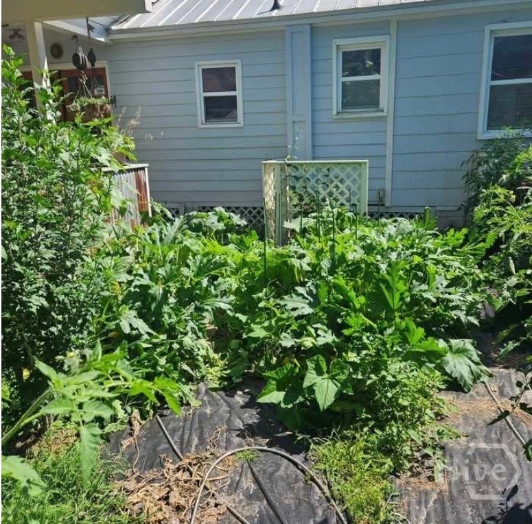 26 Nancy Place Savannah, GA 31406 - Photo 52 of 58