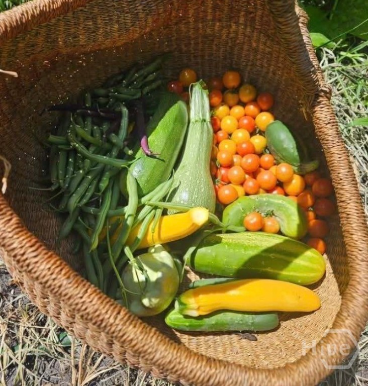 26 Nancy Place Savannah, GA 31406 - Photo 53 of 58