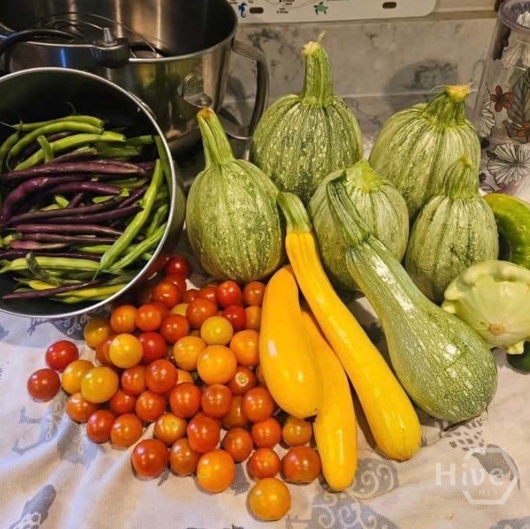 26 Nancy Place Savannah, GA 31406 - Photo 54 of 58