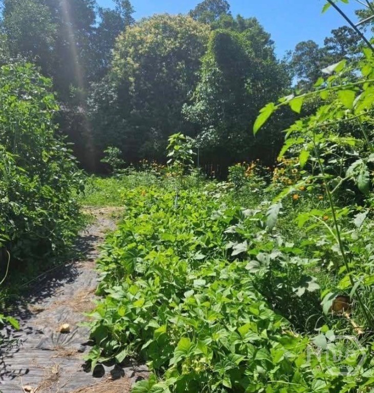 26 Nancy Place Savannah, GA 31406 - Photo 55 of 58