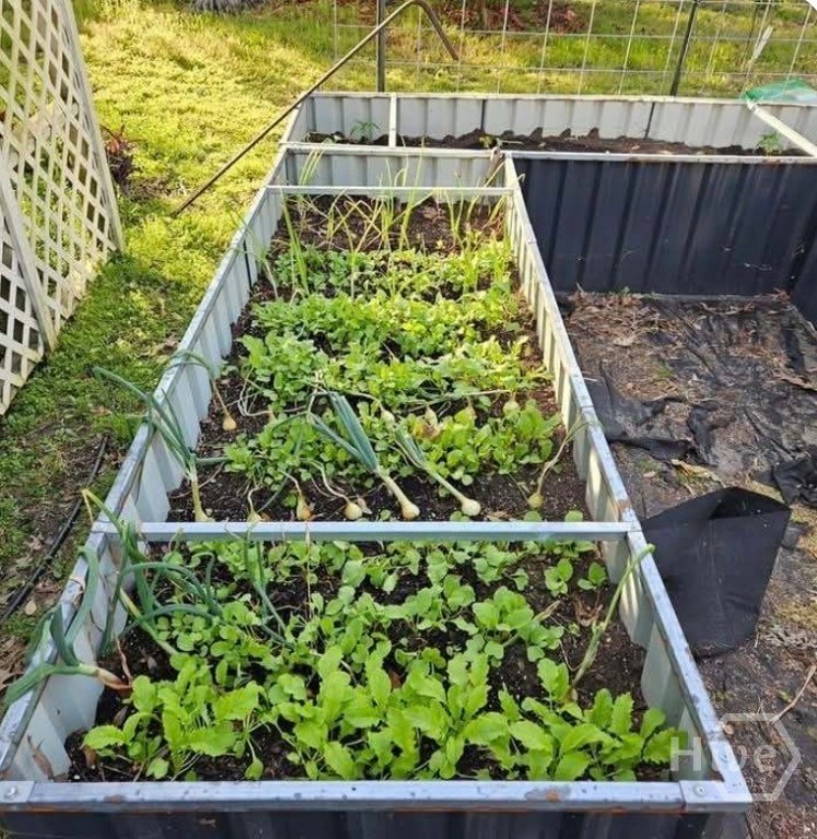 26 Nancy Place Savannah, GA 31406 - Photo 56 of 58