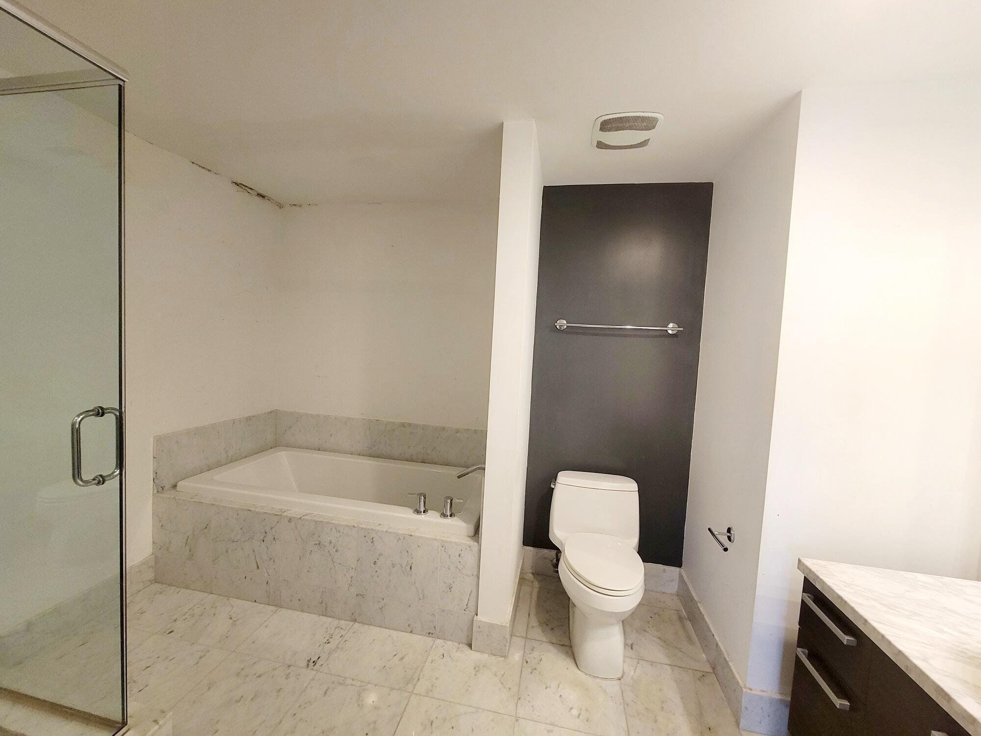 244 Biscayne Boulevard, Unit 401 Miami, FL 33132 - Photo 26 of 36 a bathroom with a bathtub and toilet