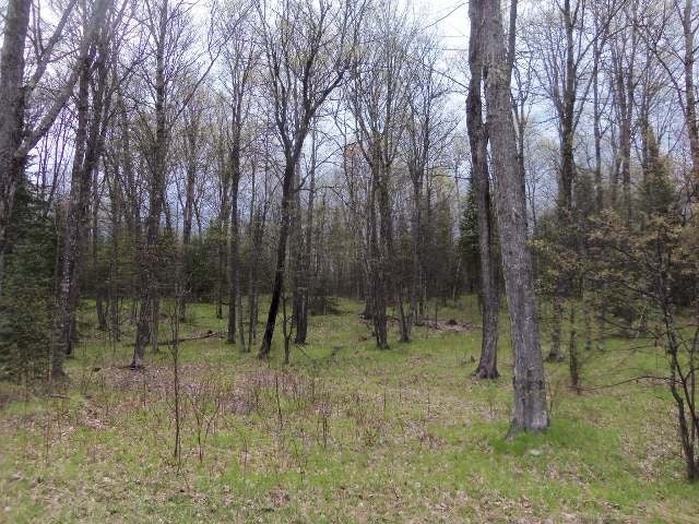 Lot 2 Timberline Road Mercer, WI 54547 - Photo 3 of 20 Gallery Image 3