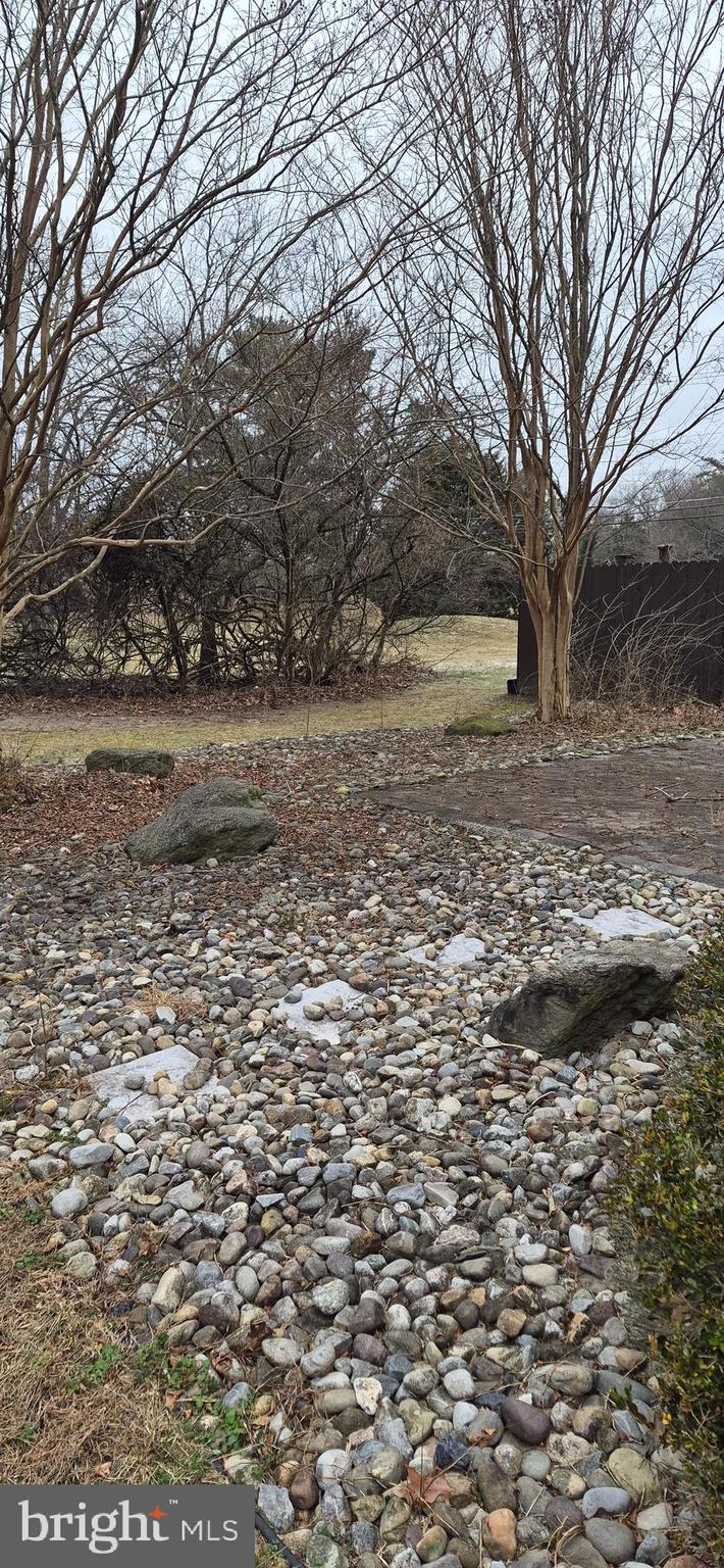 8 Del Sol Place Sicklerville, NJ 08081 - Photo 35 of 40 a view of dirt yard with a large tree