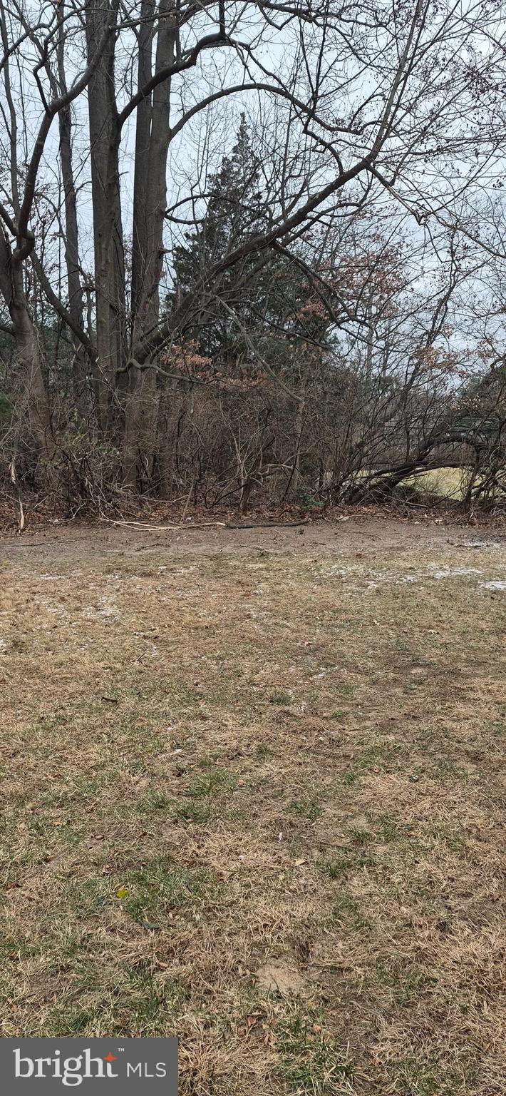 8 Del Sol Place Sicklerville, NJ 08081 - Photo 36 of 40 a view of a yard